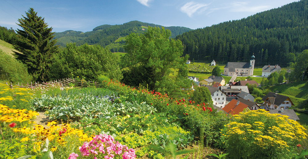 Gasen-Bauerngarten_schmal