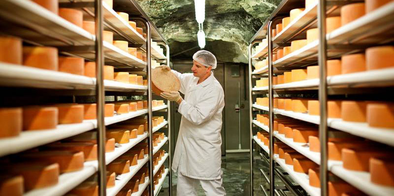 stollenkäse_schmal